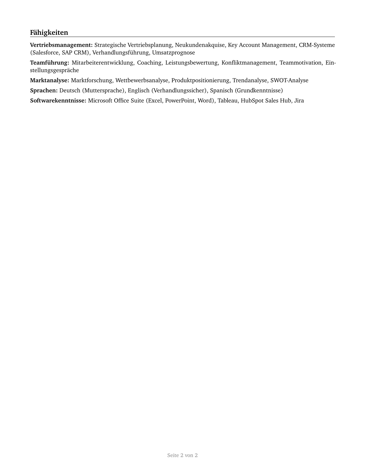 Sales Managers CV in German — page 2