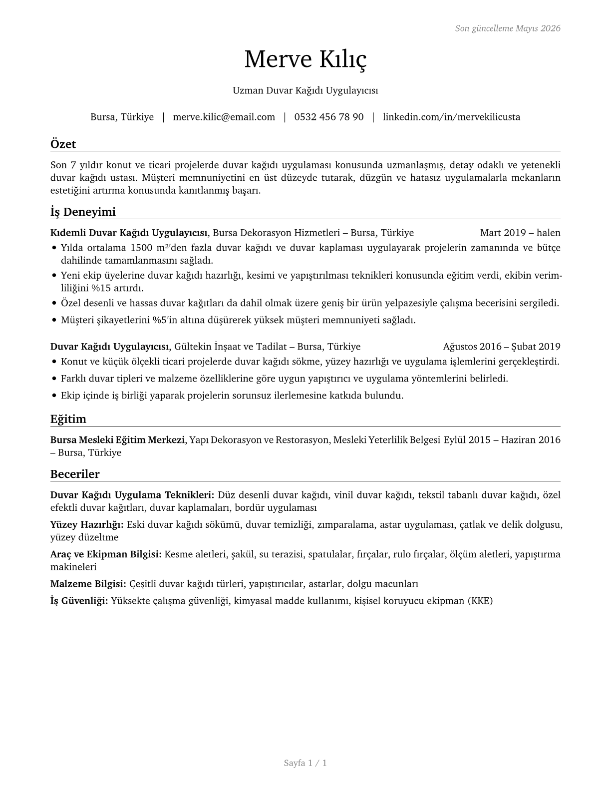 Paperhangers CV in Turkish — page 1