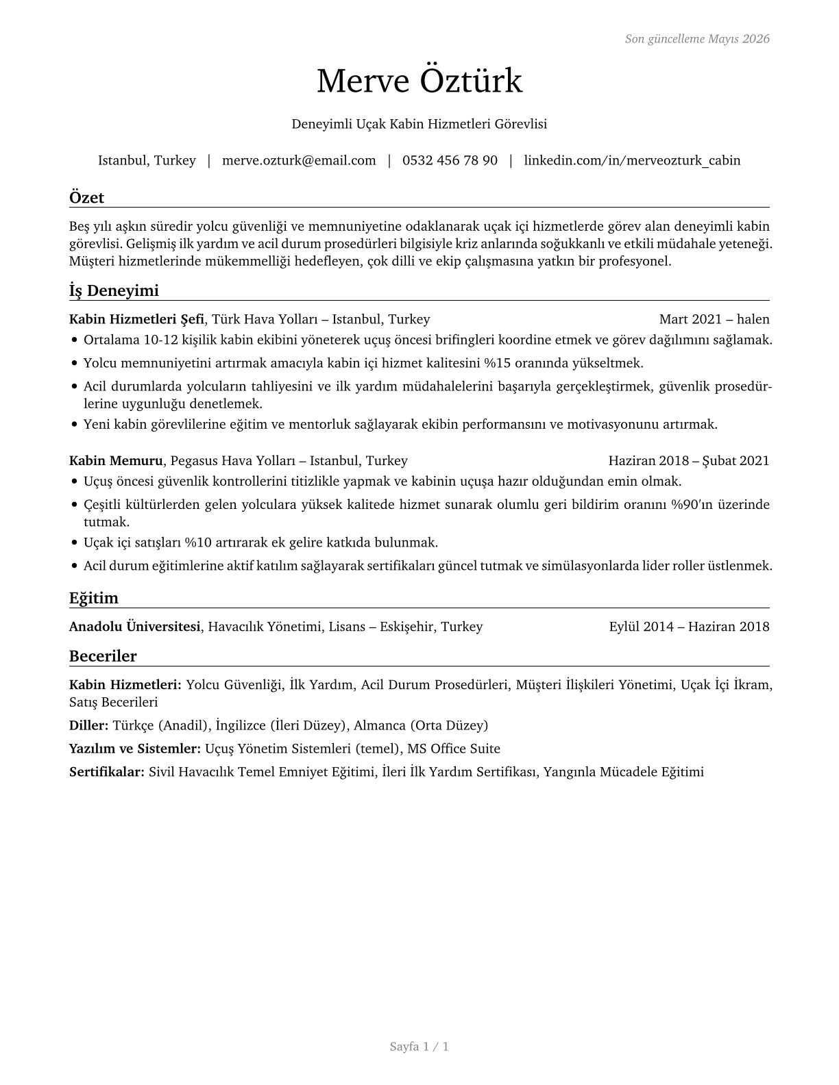 Aircraft Service Attendants CV in Turkish — page 1