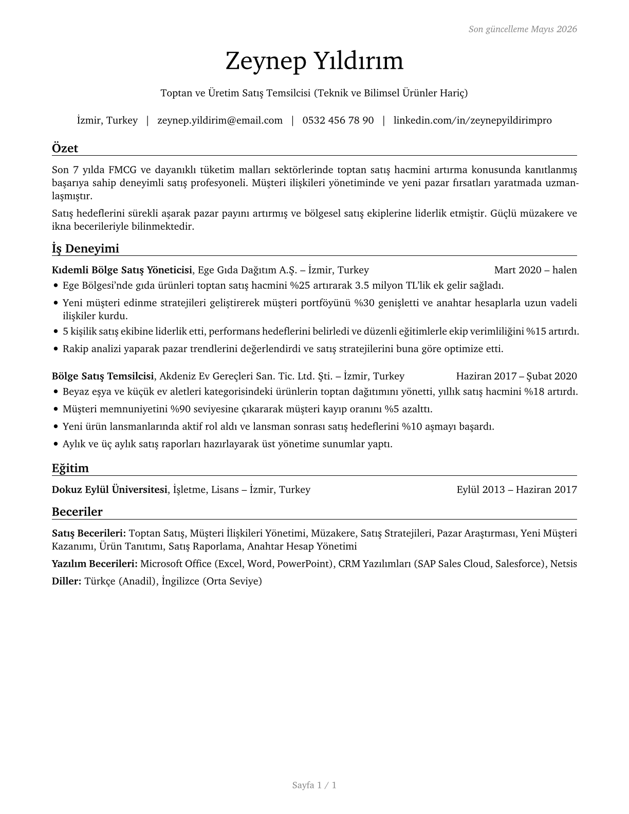 Sales Representatives, Wholesale and Manufacturing, Except Technical and Scientific Products CV in Turkish — page 1