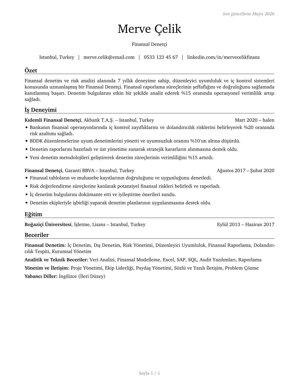 Financial Examiners CV in Turkish — page 1