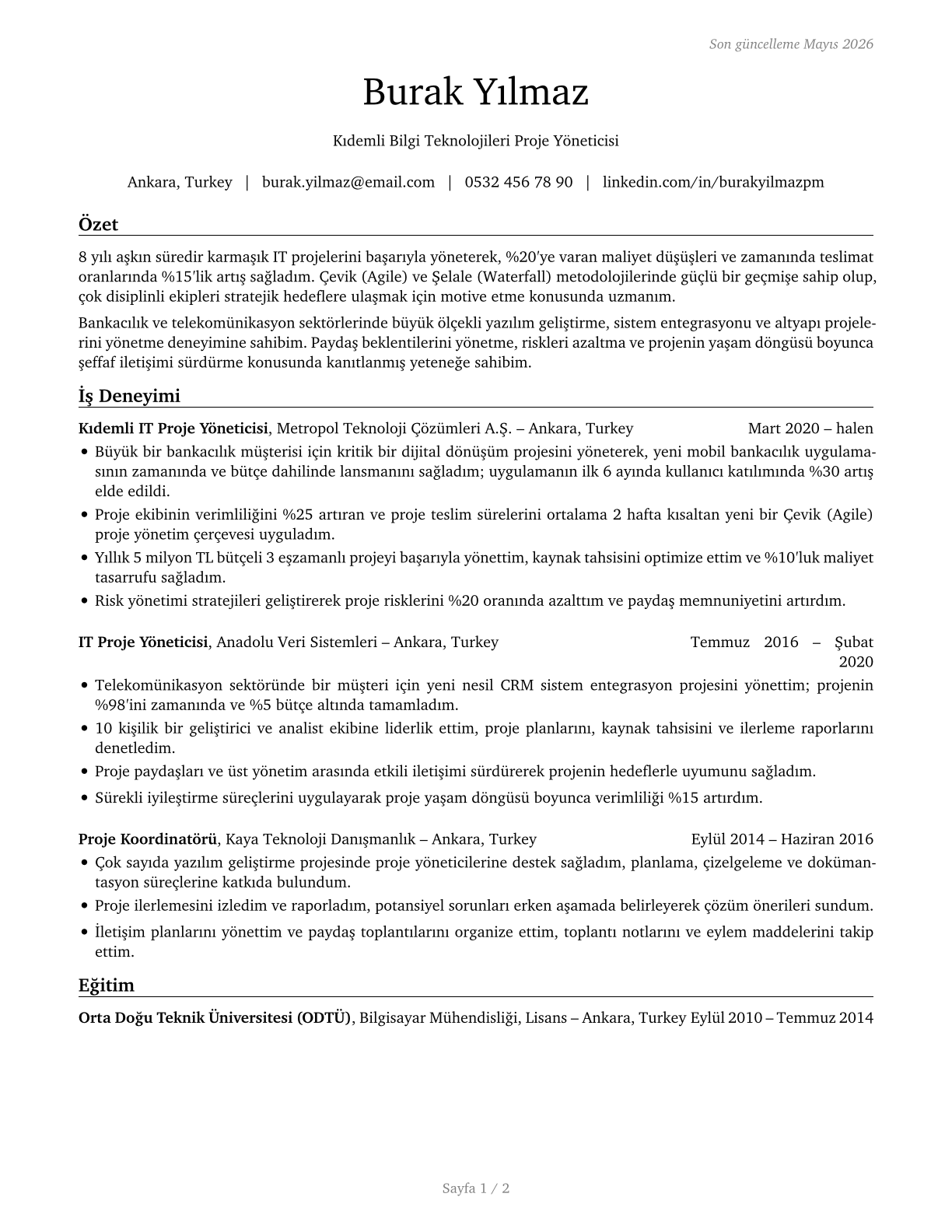 Information Technology Project Managers CV in Turkish — page 1