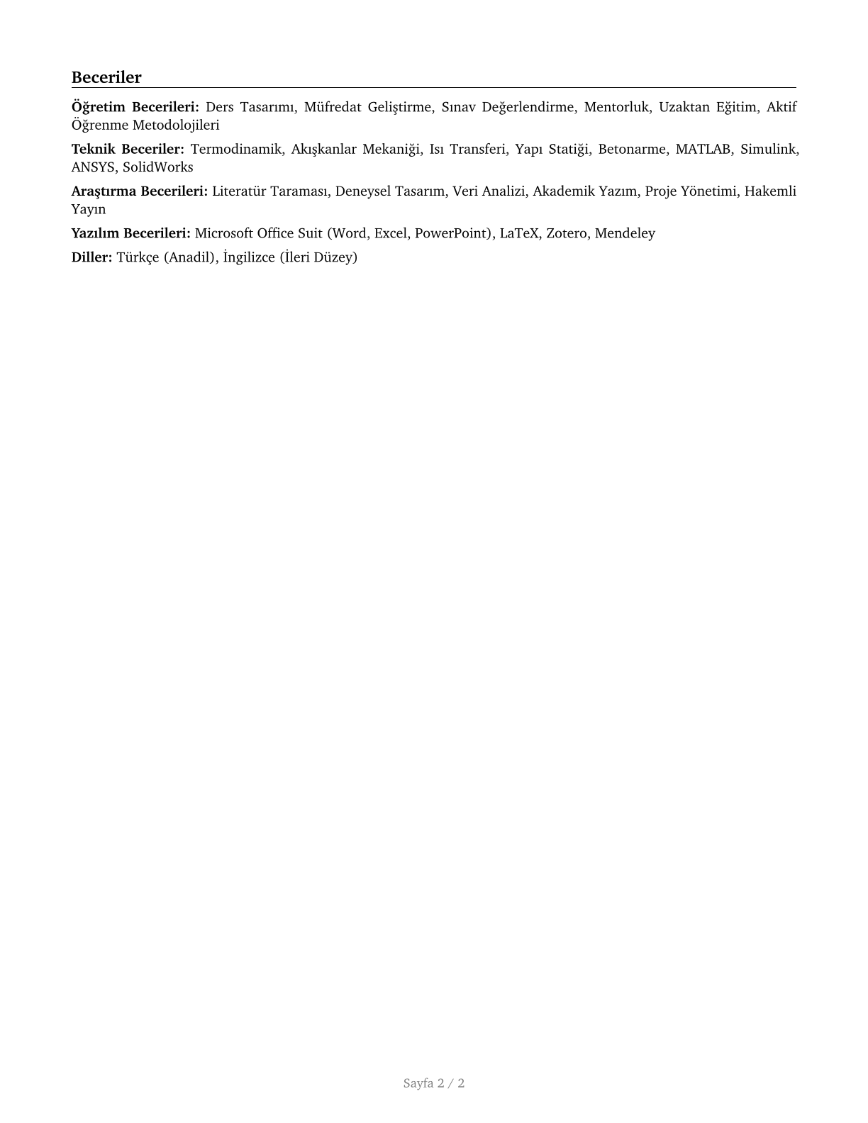 Engineering Teachers, Postsecondary CV in Turkish — page 2