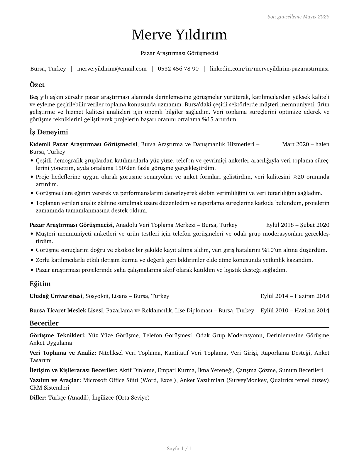 Interviewers, Except Eligibility and Loan CV in Turkish — page 1