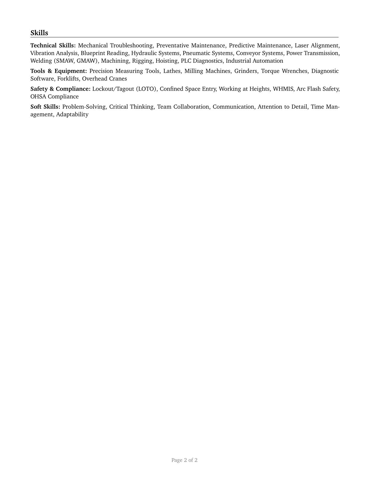Millwrights CV in English — page 2