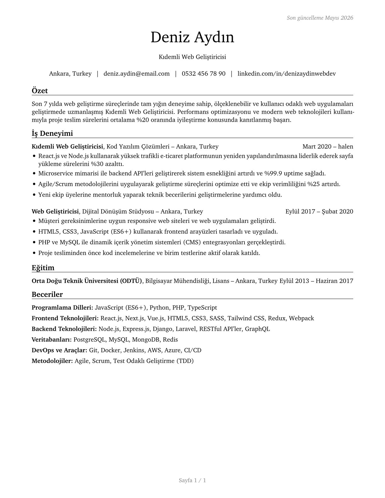 Web Developers CV in Turkish — page 1