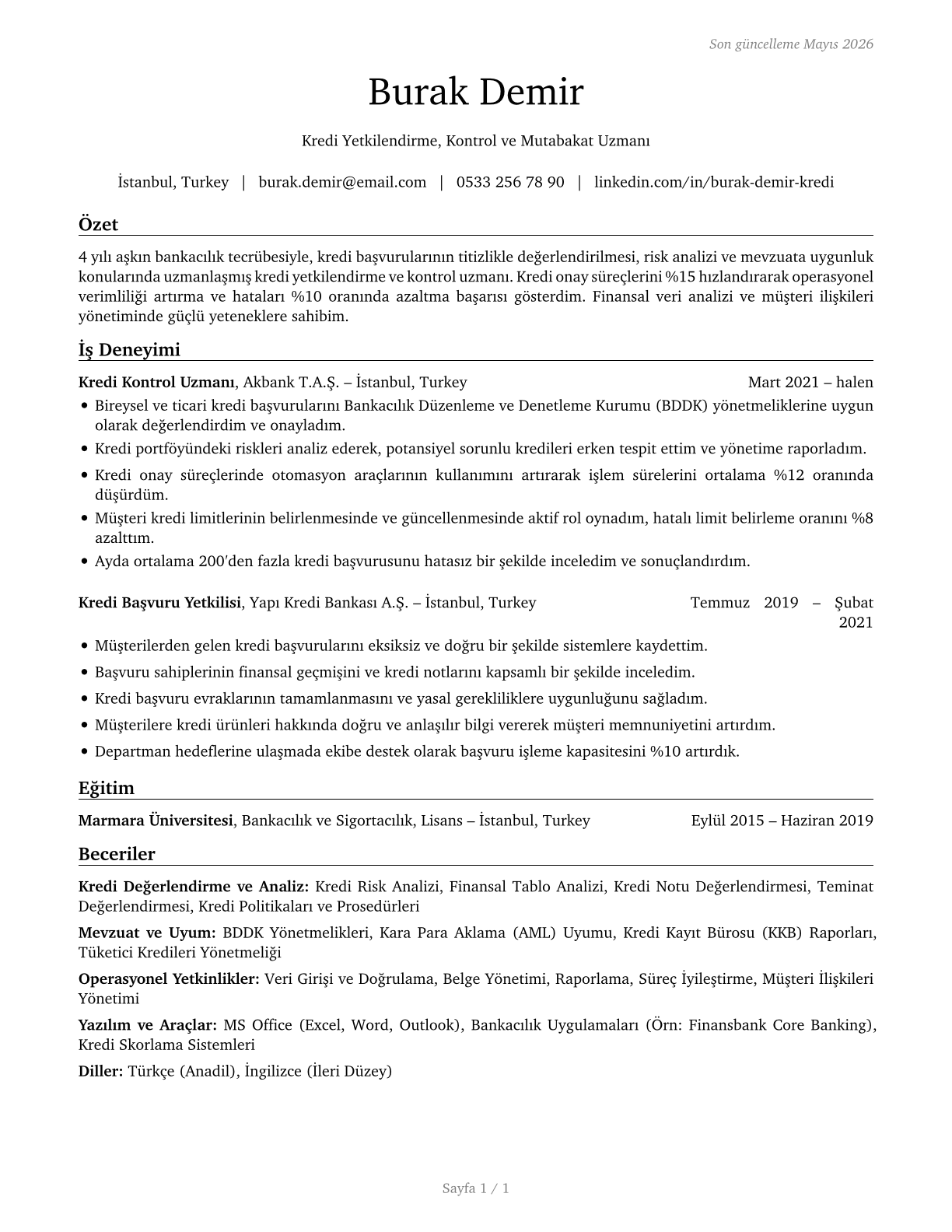 Credit Authorizers, Checkers, and Clerks CV in Turkish — page 1