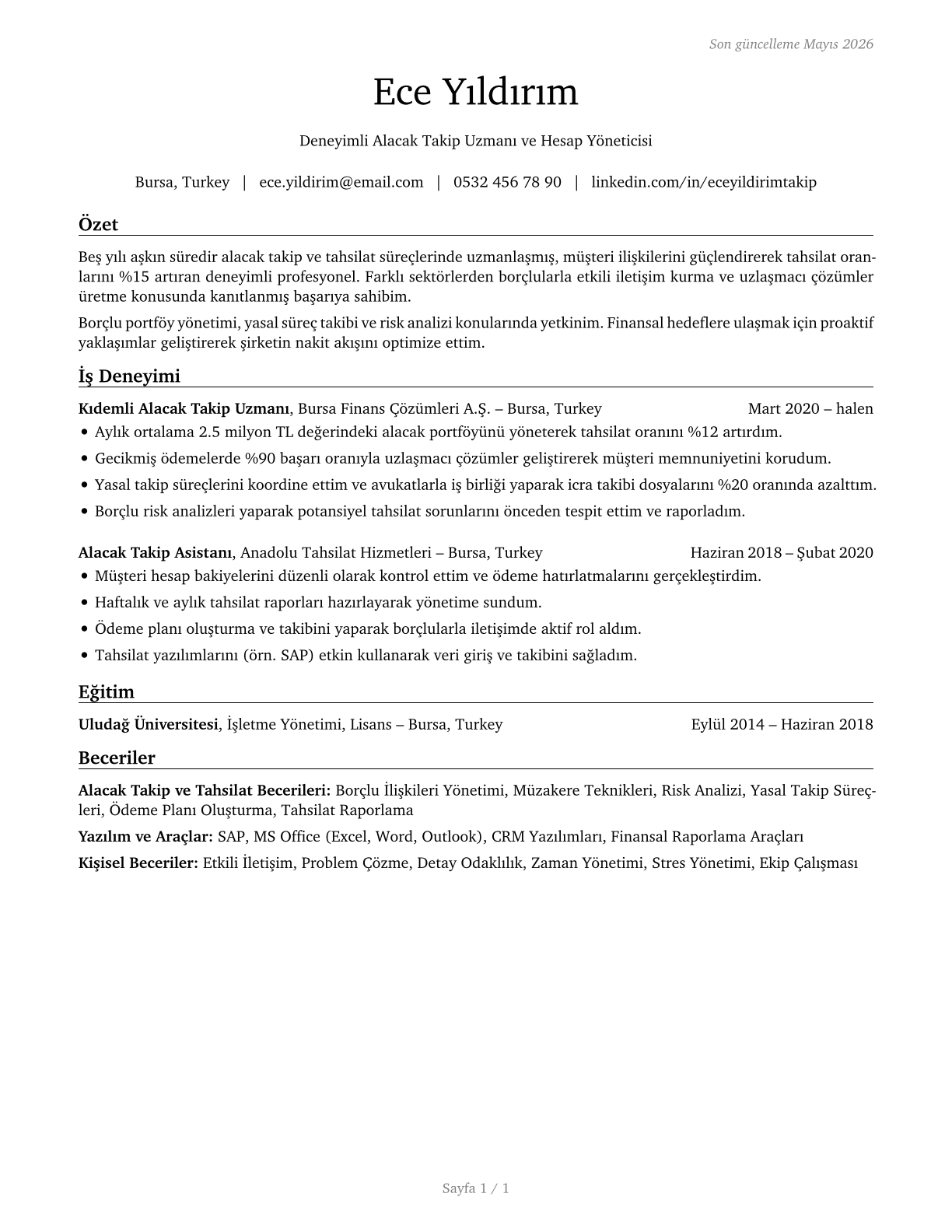 Bill and Account Collectors CV in Turkish — page 1