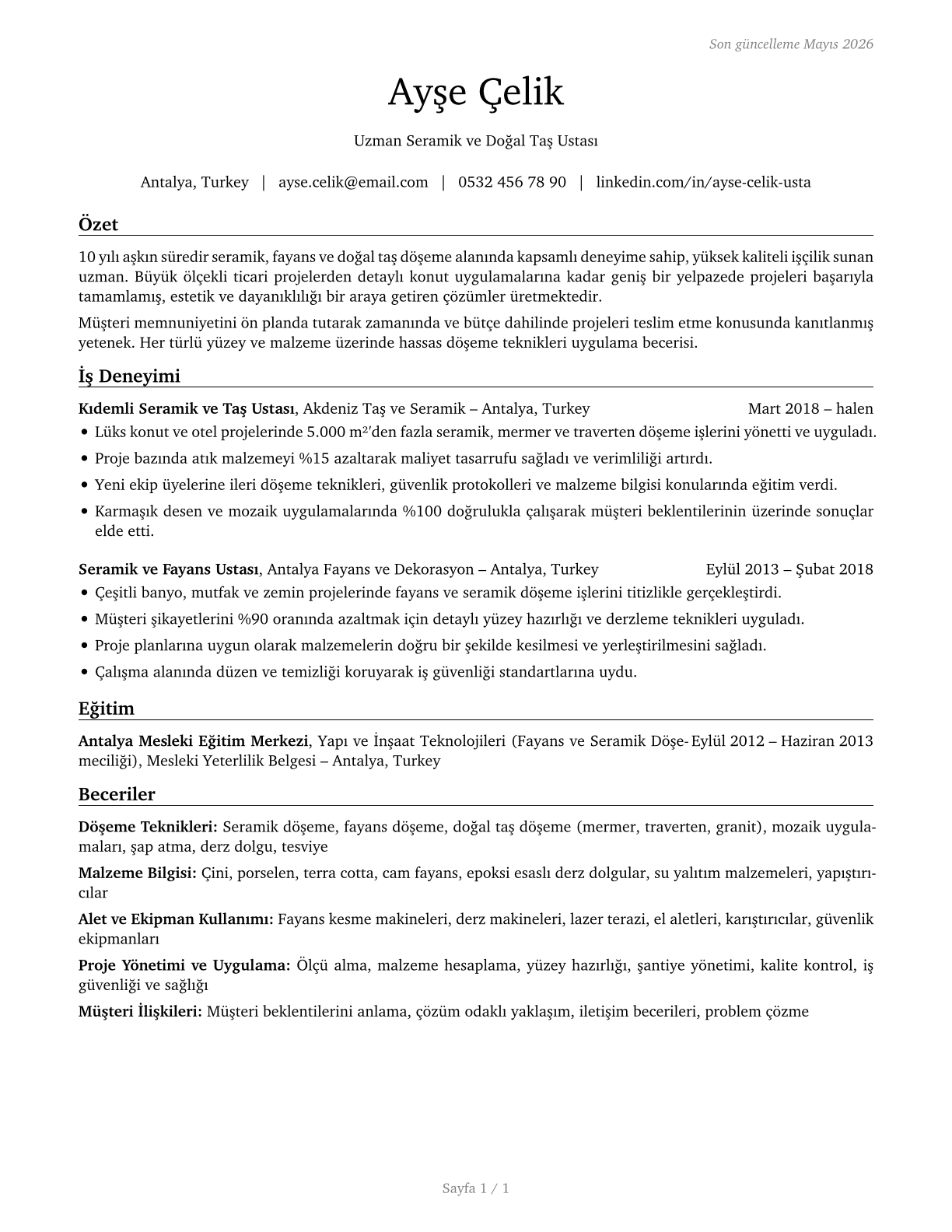 Tile and Stone Setters CV in Turkish — page 1