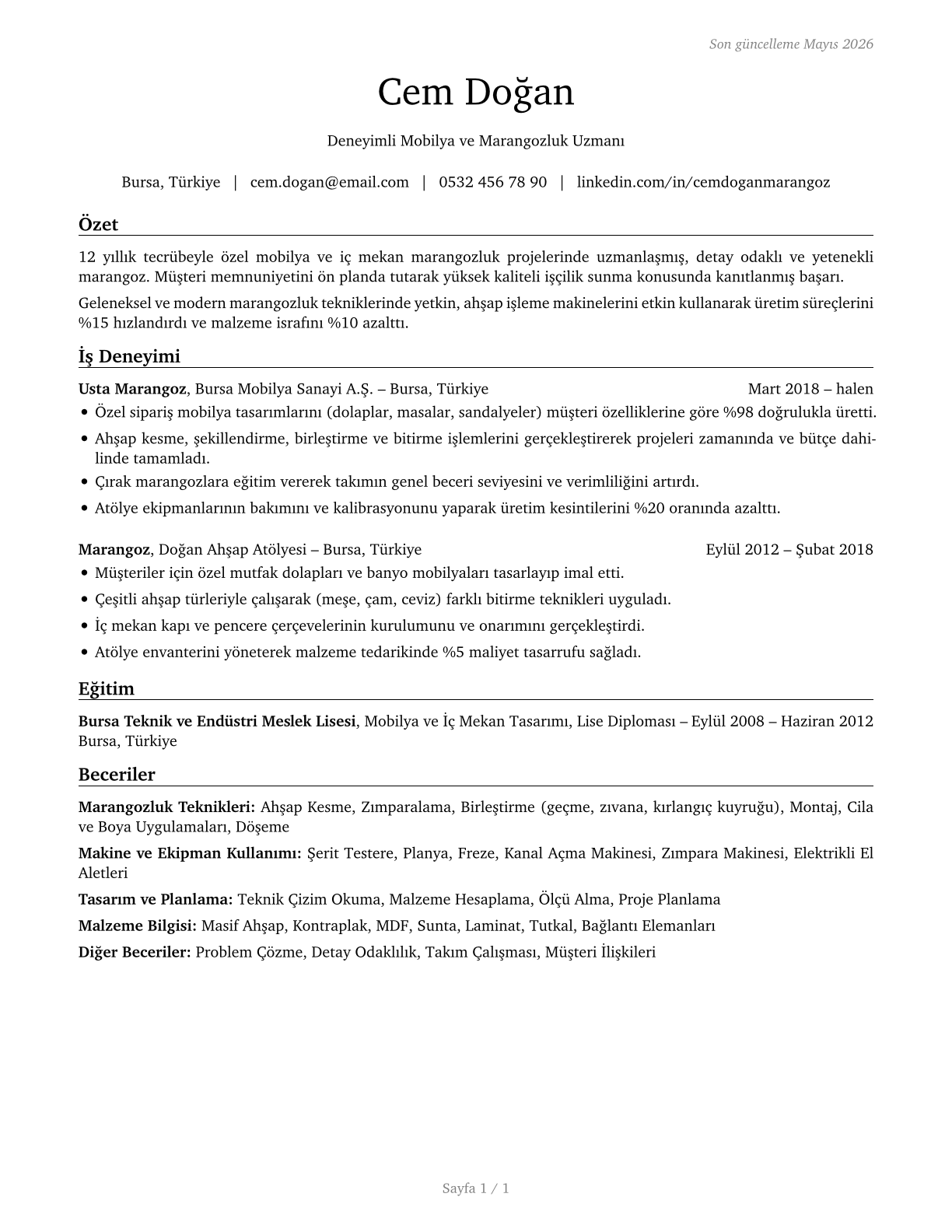 Carpenters CV in Turkish — page 1