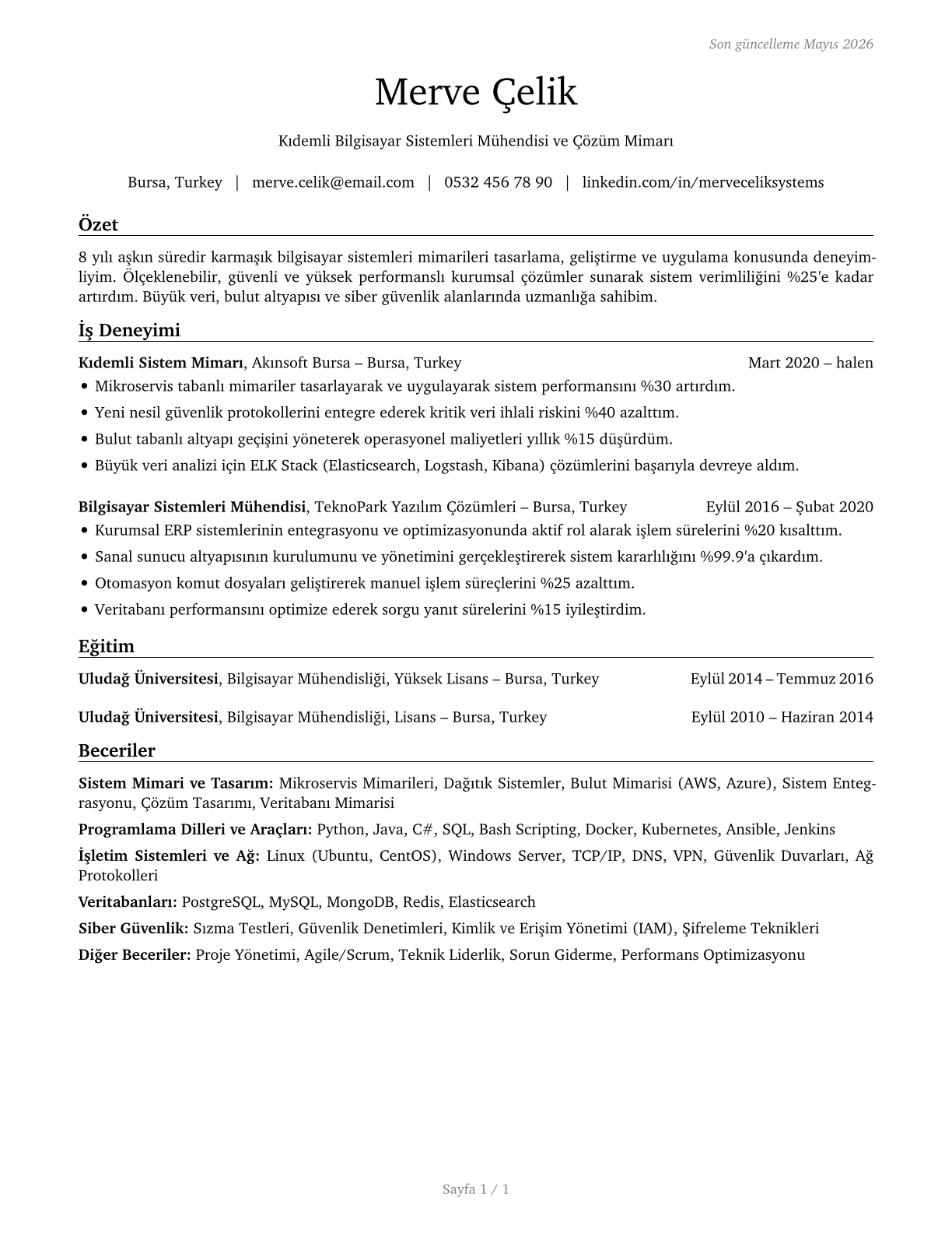 Computer Systems Engineers/Architects CV in Turkish — page 1