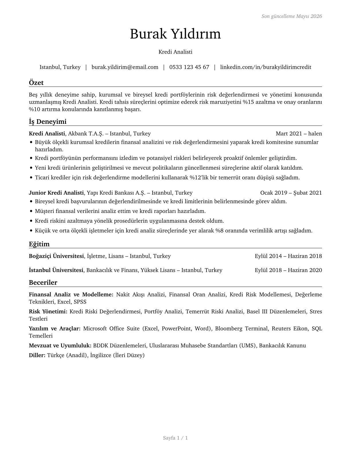 Credit Analysts CV in Turkish — page 1