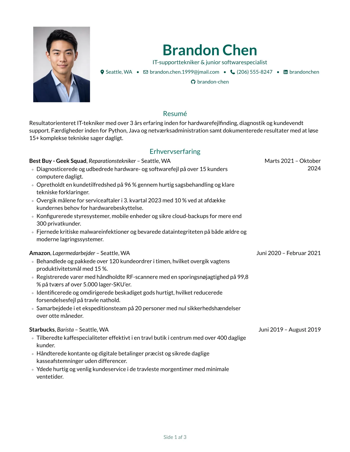 Forhåndsvisning af Opal-CV-skabelon