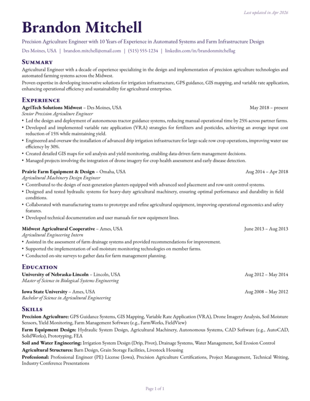 Ink resume template preview