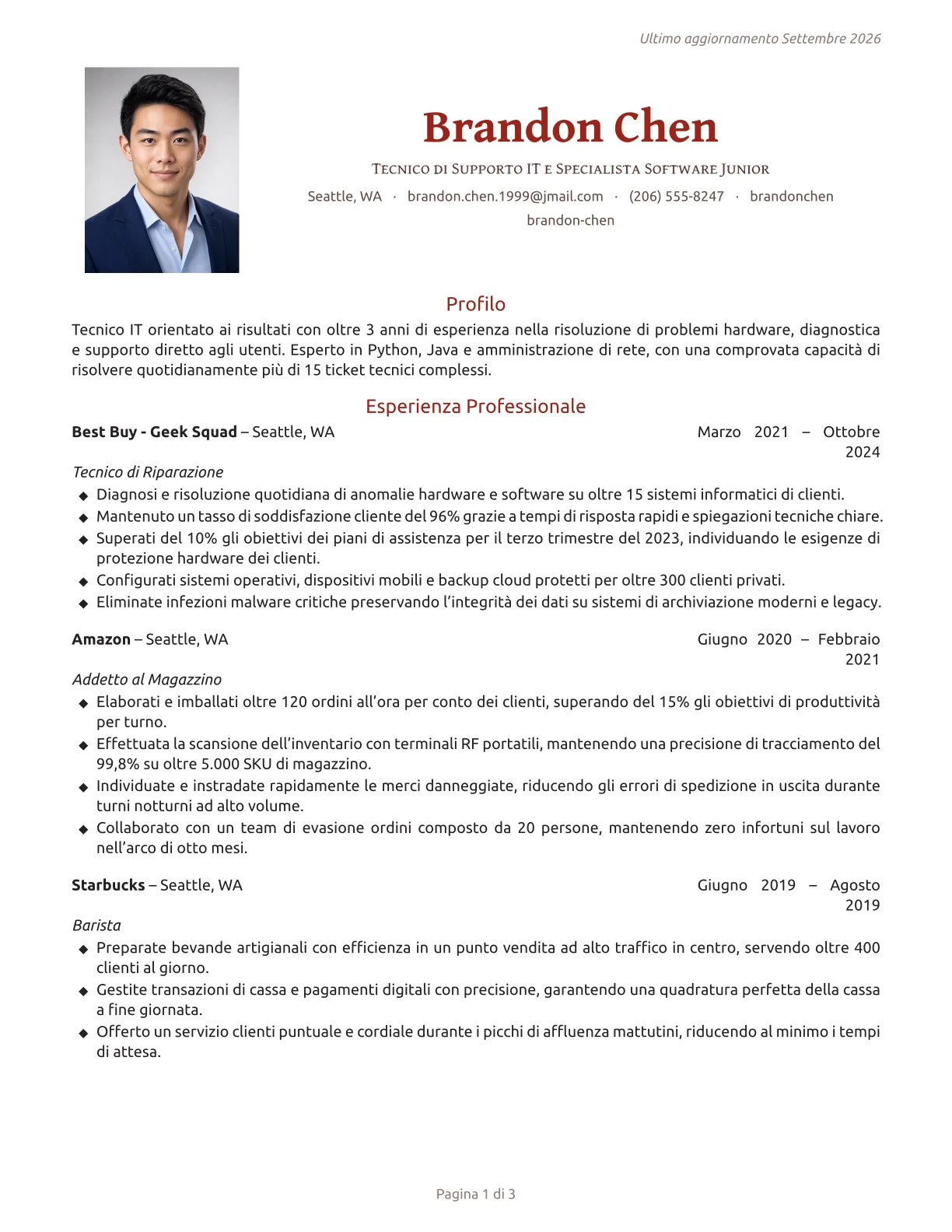 Anteprima del template CV Ember