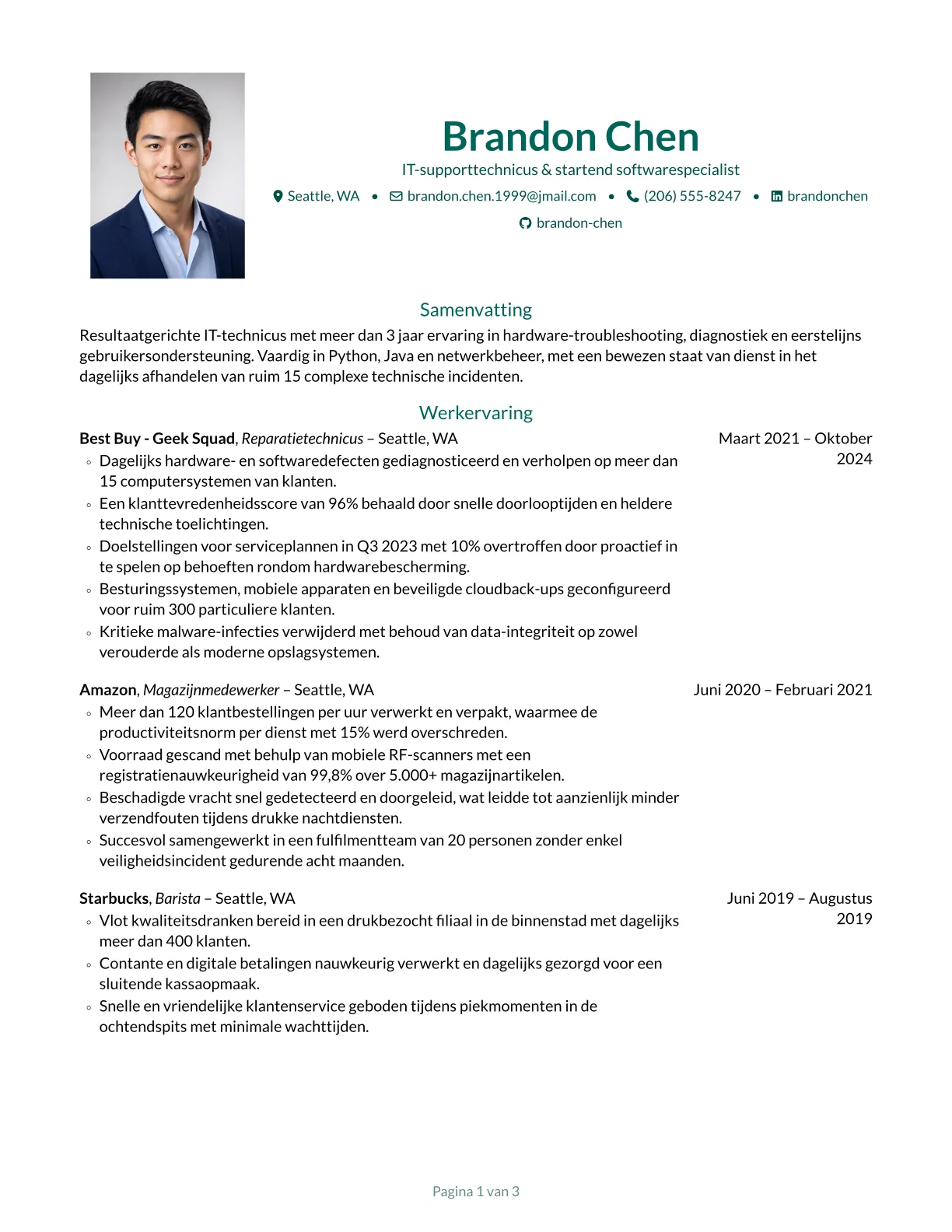 Voorbeeld van Opal cv-sjabloon